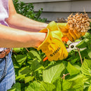 Stihl PP 10 Hand Pruner