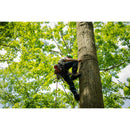Notch Steel Climbers