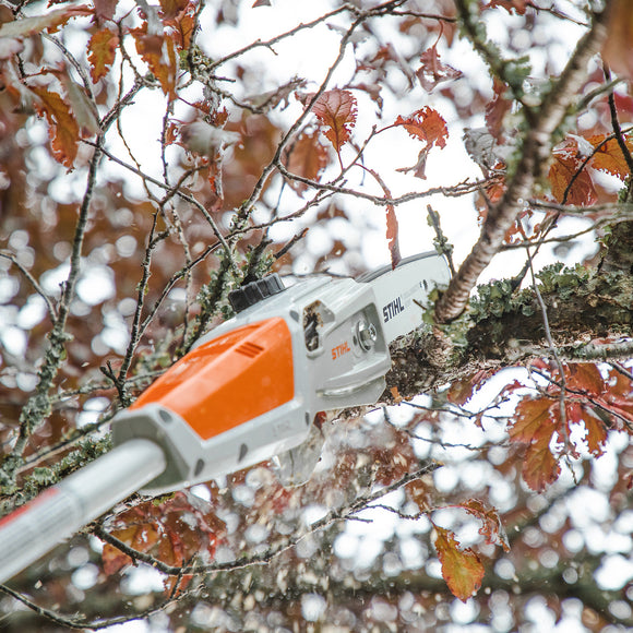 Stihl HTA50 Lithium Ion Extended Reach Pole Pruner