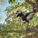 Stihl MSA220TC-O Lithium Ion Top Handle Chainsaw