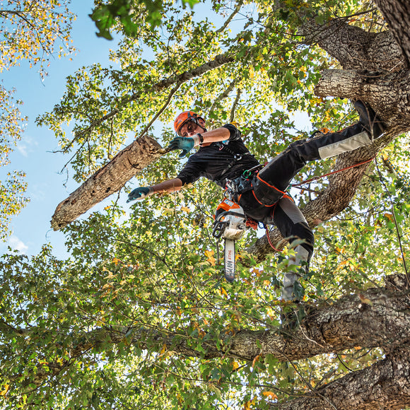 Stihl MSA220TC-O Lithium Ion Top Handle Chainsaw