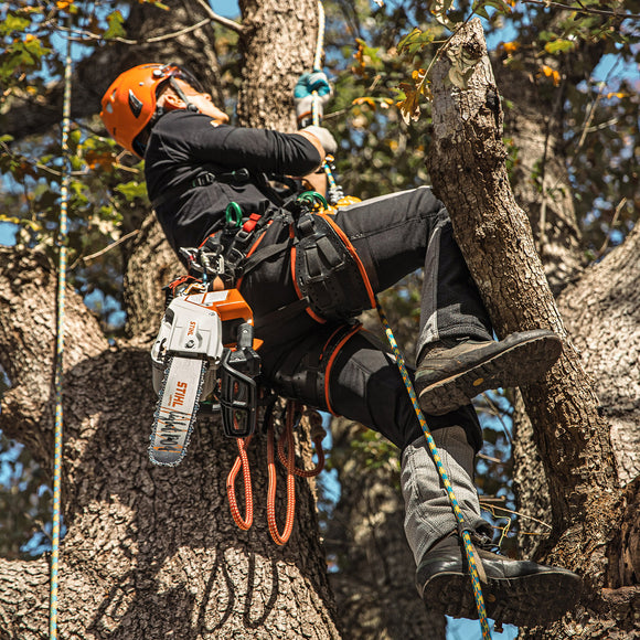 Stihl MSA220TC-O Lithium Ion Top Handle Chainsaw