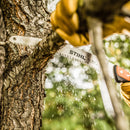 Stihl PS 70 Arboriculture Saw