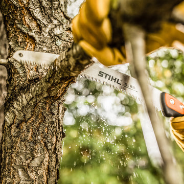 Stihl PS 70 Arboriculture Saw