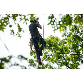 Notch Catalyst Climbing Harness