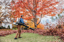 Stihl BR800C-E MAGNUM Backpack Blower