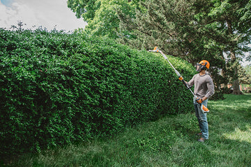 Stihl HLA56 Lithium Ion Extended Reach Hedge Trimmer