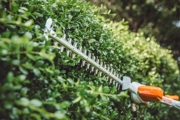 Stihl HLA56 Lithium Ion Extended Reach Hedge Trimmer