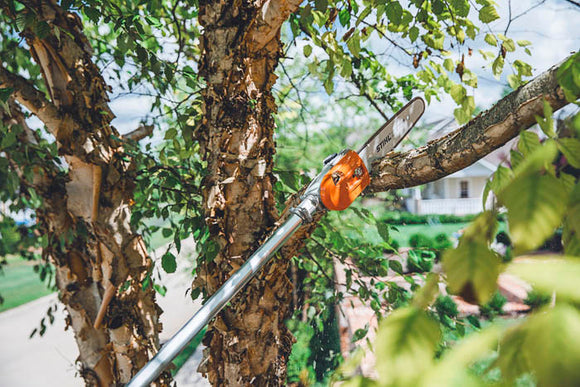 Stihl HT135 Extended Reach Pole Pruner - 14"