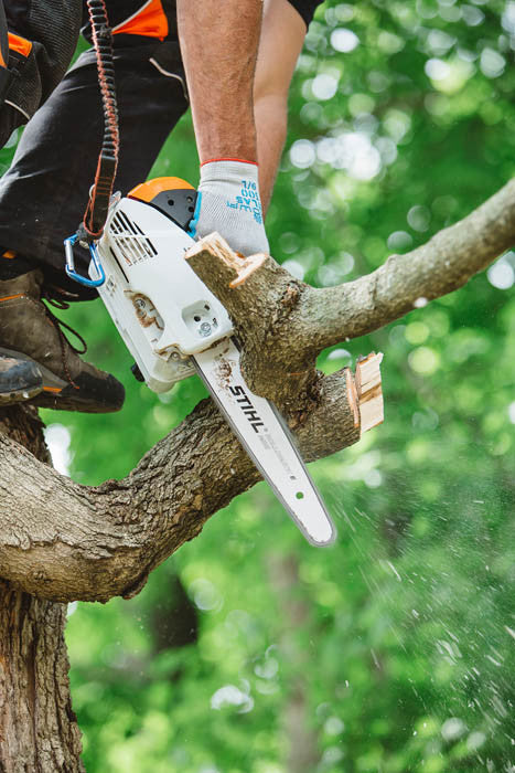 Stihl MS151TC-E Top Handle Chainsaw - 12" Bar