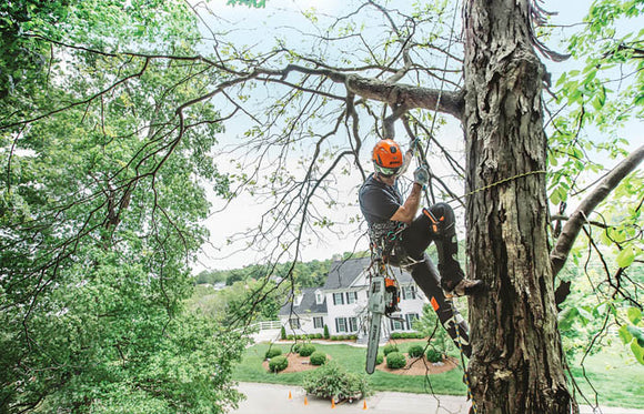 Stihl MS201TC-M Top Handle Chainsaw 14"
