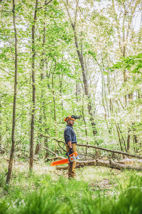 Stihl MS391 Gas Chainsaw