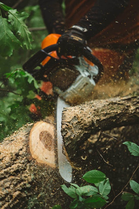 Stihl MS462C-M Gas Chainsaw