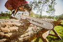 Stihl MS 251 WOOD BOSS 18"