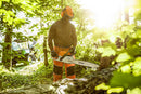 Stihl MS291 Gas Chainsaw