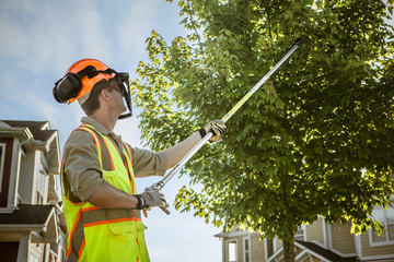 Stihl PP 101 Long Reach Pruner