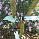 Stihl PL 30 Hand Lopper
