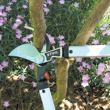 Stihl PL 30 Hand Lopper