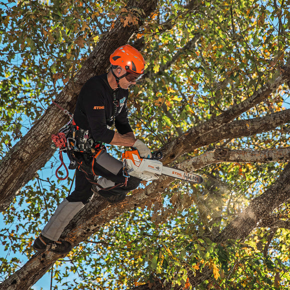 Stihl MSA220TC-O Lithium Ion Top Handle Chainsaw