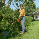 Stihl HSA60 24" Lithium Ion Hedge Trimmer