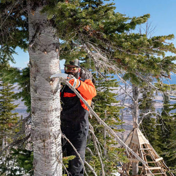 Stihl PS 90 Arboriculture Hand Saw