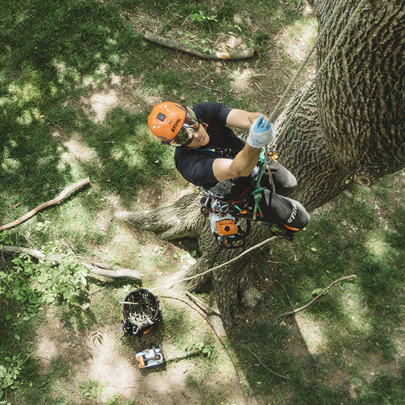 Stihl MS194T Top Handle Chainsaw - 14"