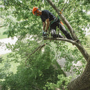 Stihl MS194T Top Handle Chainsaw - 14"
