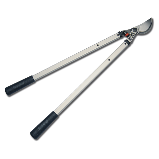Stihl PL 30 Hand Lopper
